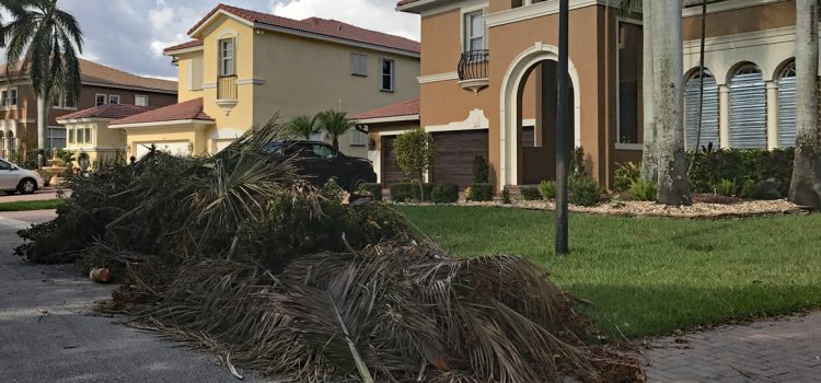City of Parkland Holds Special Meeting for Debris Removal Expenditure