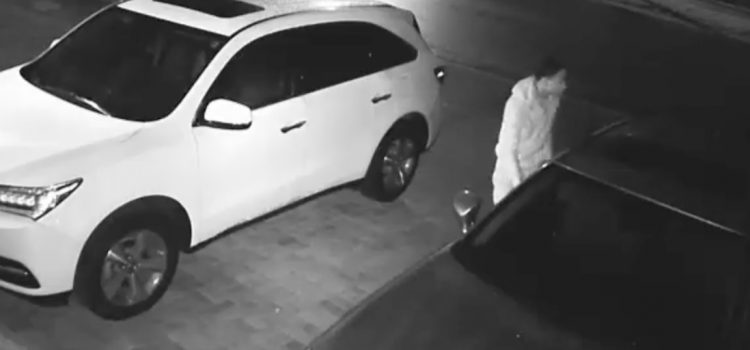 Young Men Wanted for Stealing Items Out of Unlocked Cars in Parkland