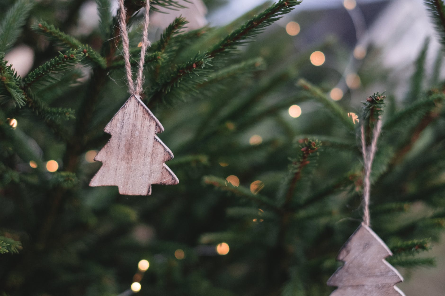 Parkland Announces Annual Christmas Tree Pickup 3