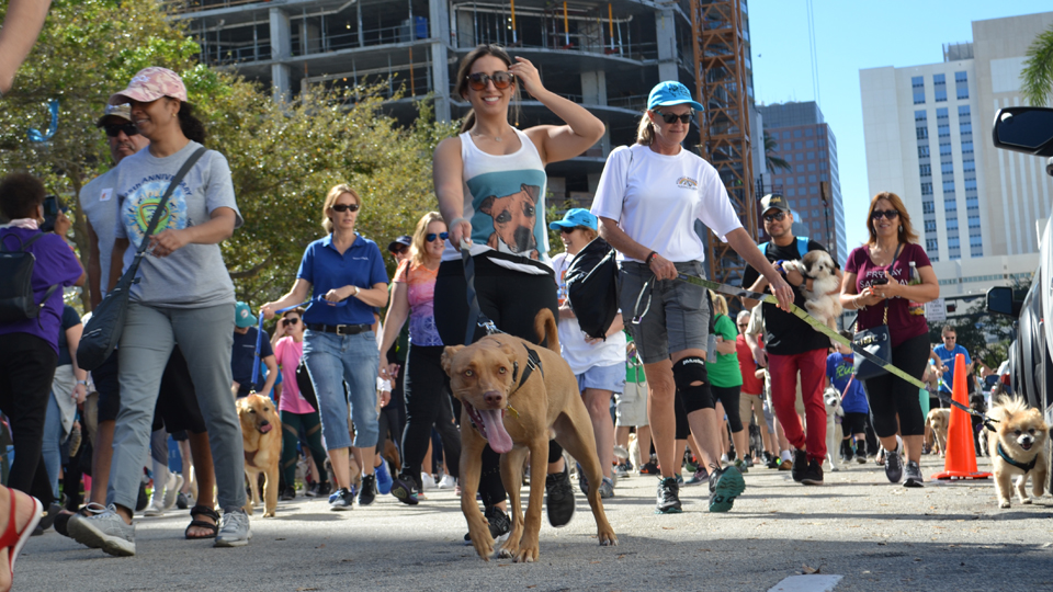 Humane Society Welcomes People and Pets at 29th Annual Walk for the Animals 1