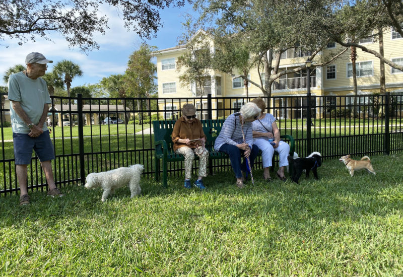 Parkland Retirement Senior Center Opens New Dog Park for Residents 8