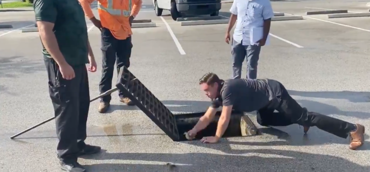 Parks Manager Rescues Trapped Ducklings From Storm Drain