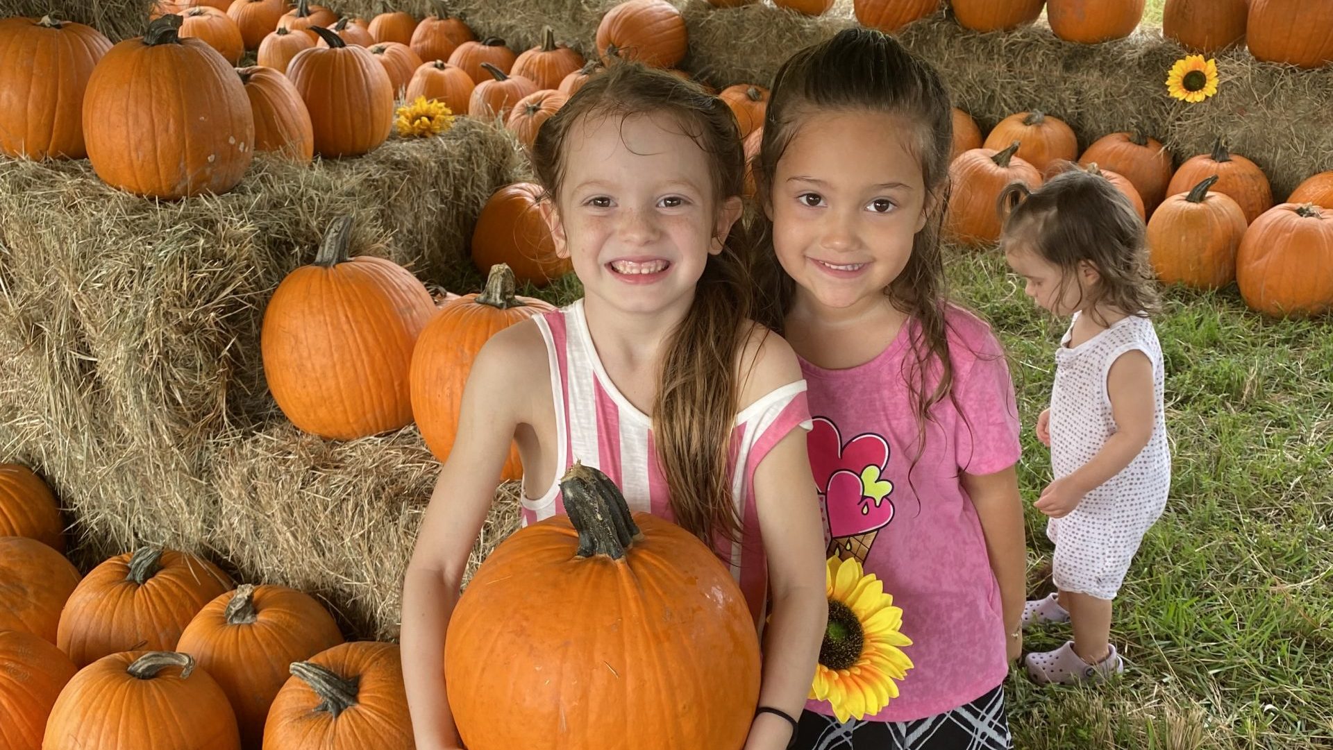 Parkland Prepares Pleasing Pumpkin Patch Through Oct. 28