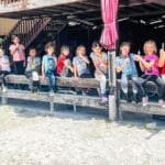 Unbridle Your Child's Summer Fun at Spitfire Farm's Horse Camp