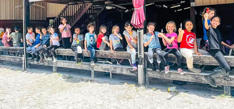 Spitfire Farm Hosts ‘Thanksgiving Break’ Equestrian Camp in Coconut Creek