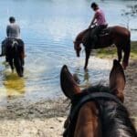 Quit Horsing Around And Spend A Week At Spitfire Farm Summer Camp