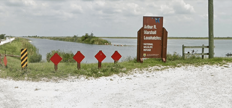 Police Identify 2 Fishermen Who Drowned at the Loxahatchee National Wildlife Refuge