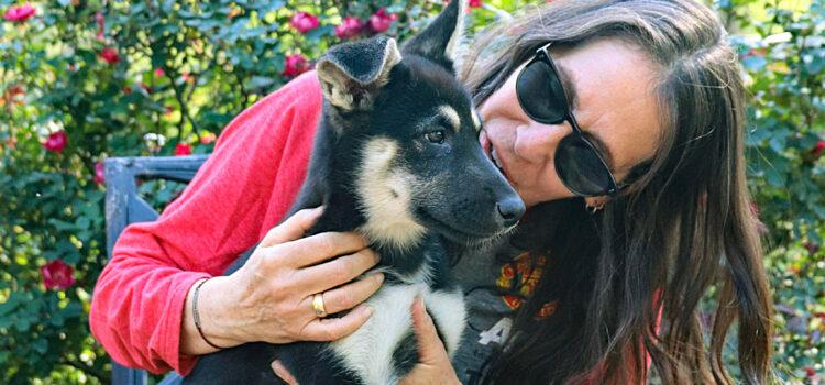Former MSD Teacher Meets  New K-9 Companion for PTSD, Thanks to Nonprofit and Donors