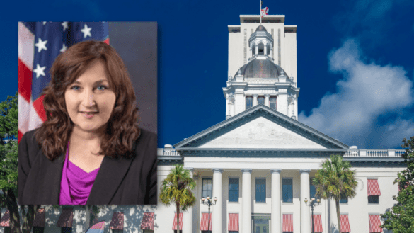 Rep. Hunschofsky Files Bill to Close Potential Long-Gun Loophole 38