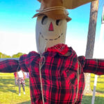 Sign Up for Parkland’s Spooktacular Scarecrow Decorating Contest