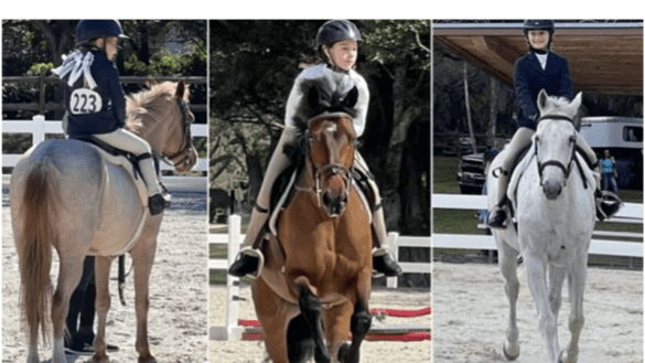 Parkland Horseman's Association Hosts Two-Day Equestrian Event and Tack Sale