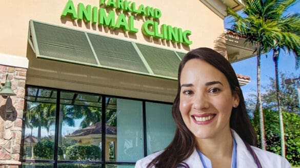 Parkland Animal Clinic Begins New Chapter Under Local Ownership and Medical Leadership