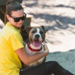 Broward County Animal Care Waives Adoption Fees Through July 26 During National Campaign 2 Broward County Animal Care Waives Adoption Fees Through July 26 During National Campaign 1