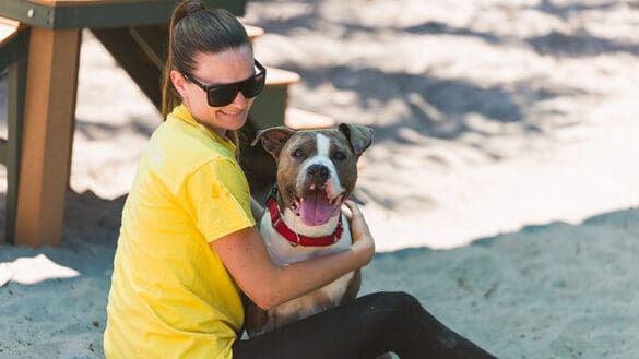 Broward County Animal Care Waives Adoption Fees Through July 26 During National Campaign 25